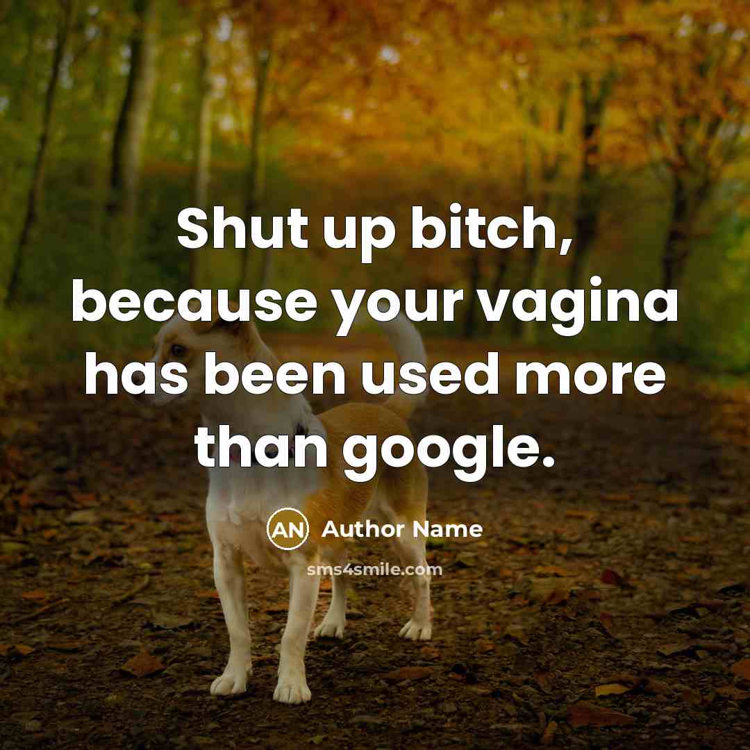 “Shut up bitch, because your vagina has been used more…” quote by Author Name