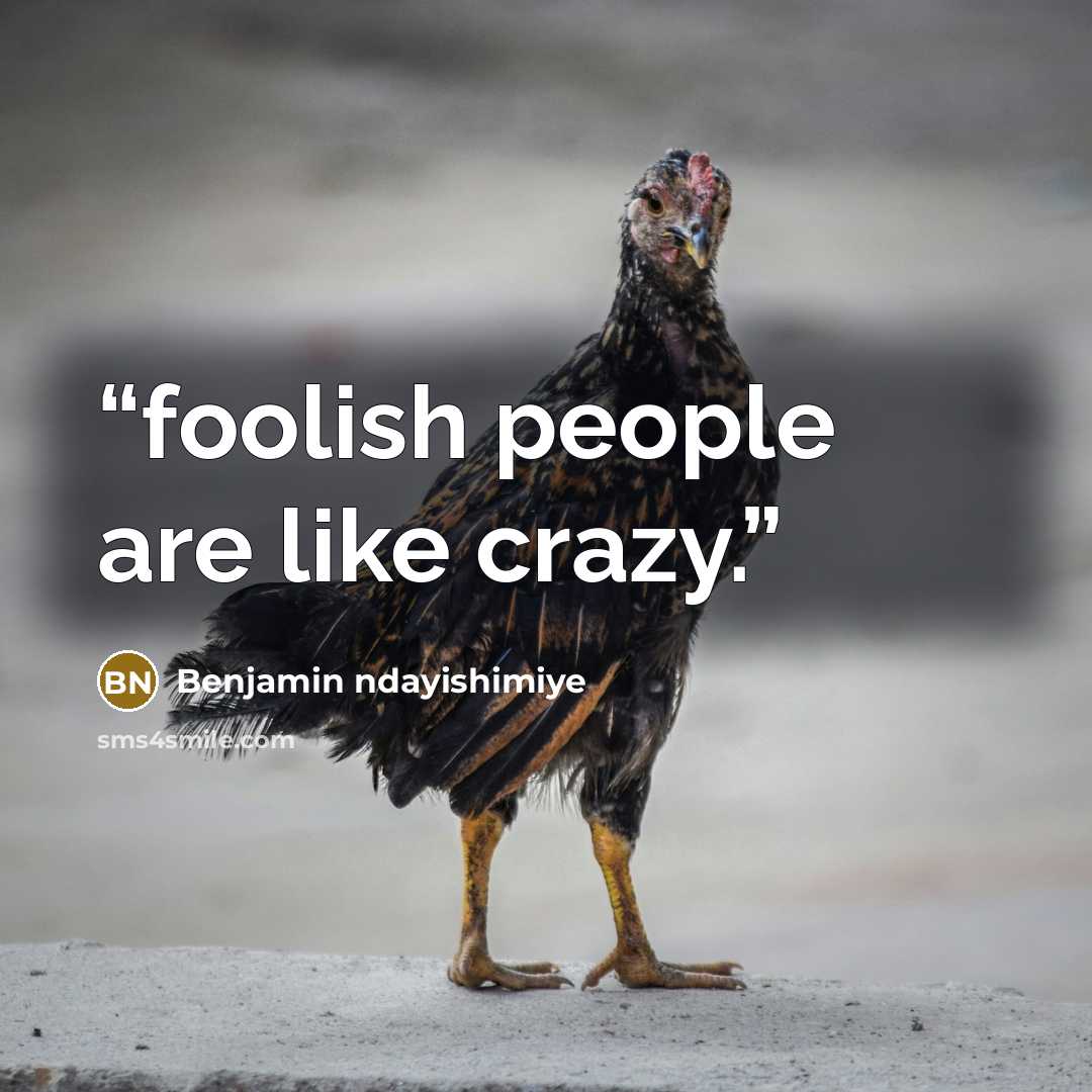 “foolish people are like crazy.” quote by Benjamin ndayishimiye