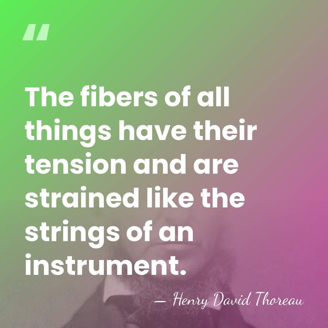 The fibers of all things have their tension and are strained like&hellip; - Henry David Thoreau