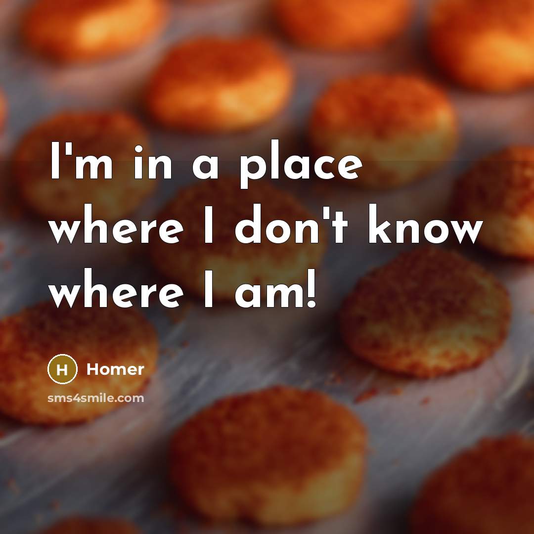 “I'm in a place where I don't know where I…” quote by Homer