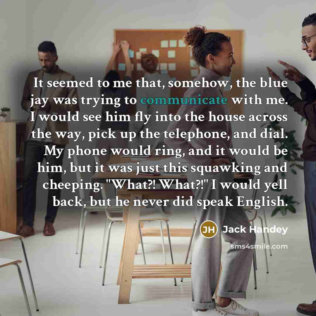 “It seemed to me that, somehow, the blue jay was…” quote by Jack Handey