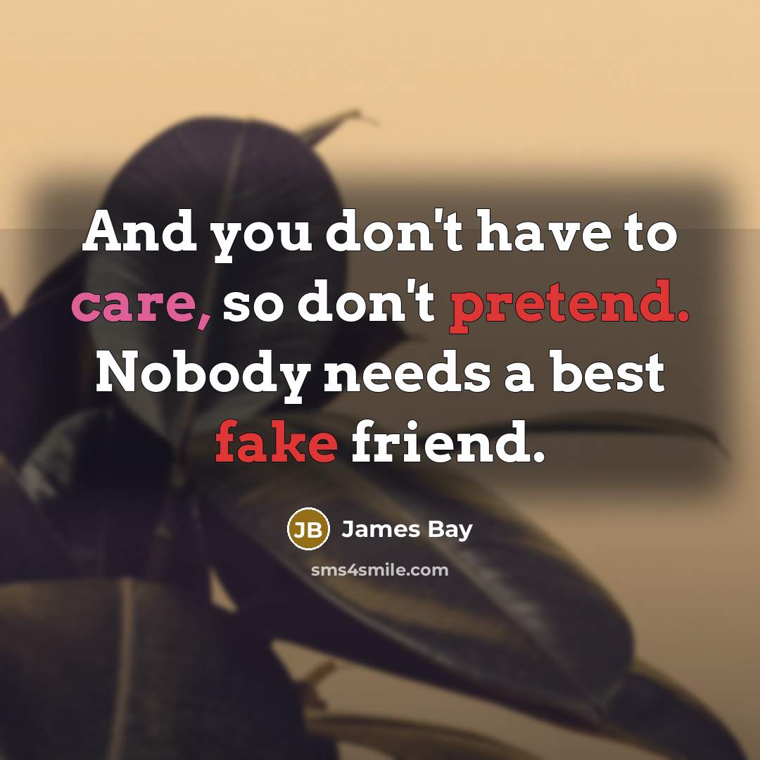 “And you don't have to care, so don't pretend. Nobody…” quote by James Bay