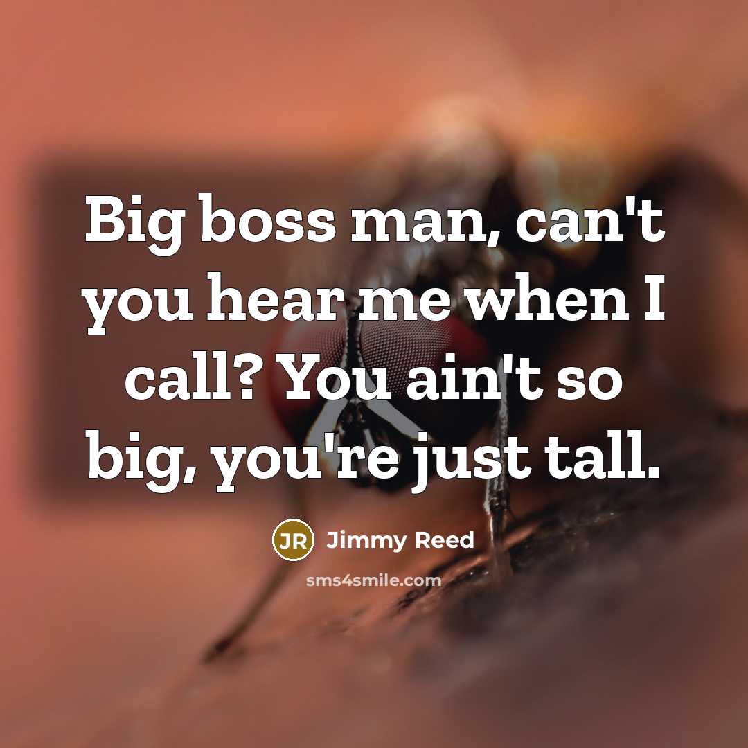 “Big boss man, can't you hear me when I call?…” quote by Jimmy Reed