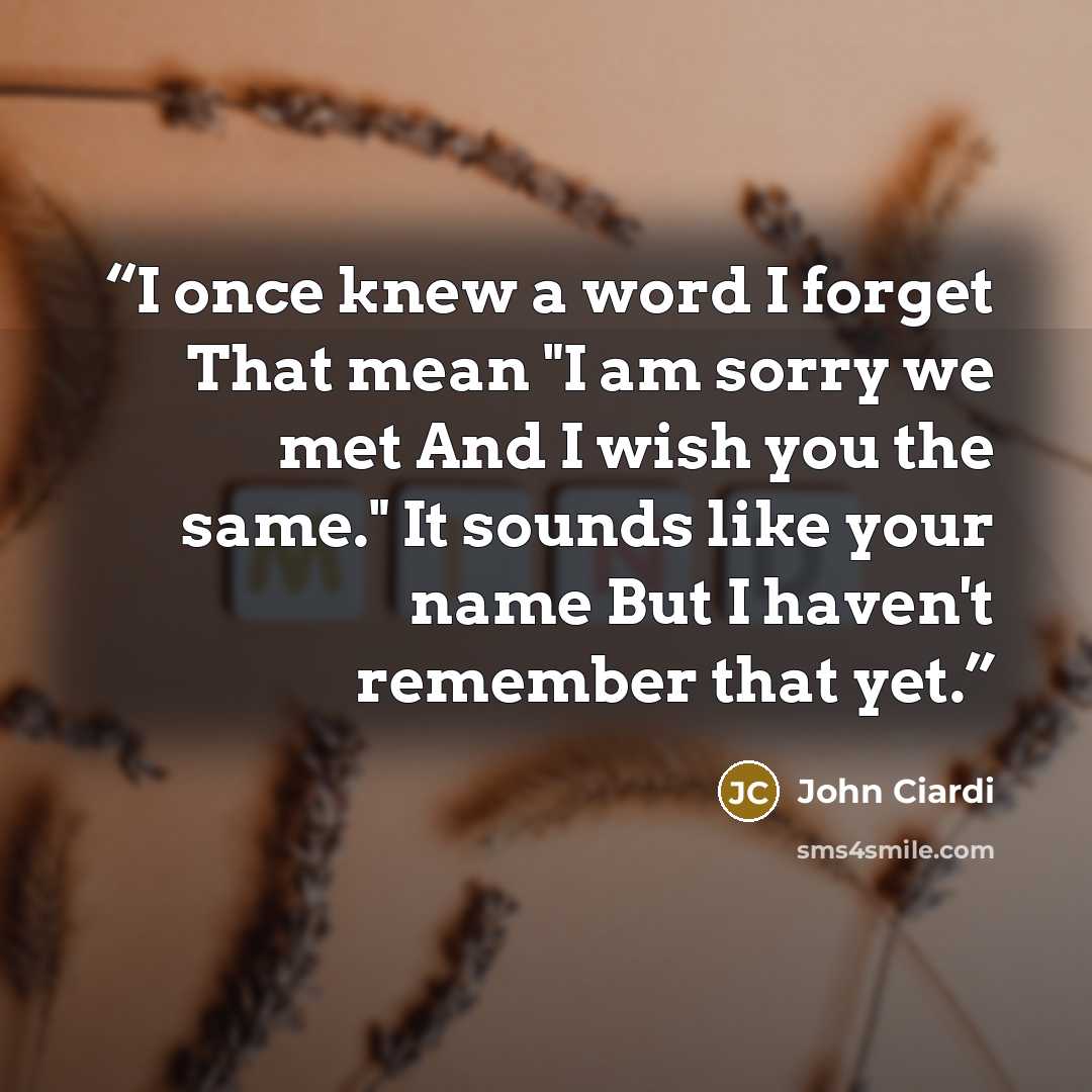 “I once knew a word I forget That mean "I am sorry we met And I wish you the same." It sounds like your name But I haven't remember that yet.” quote by John Ciardi