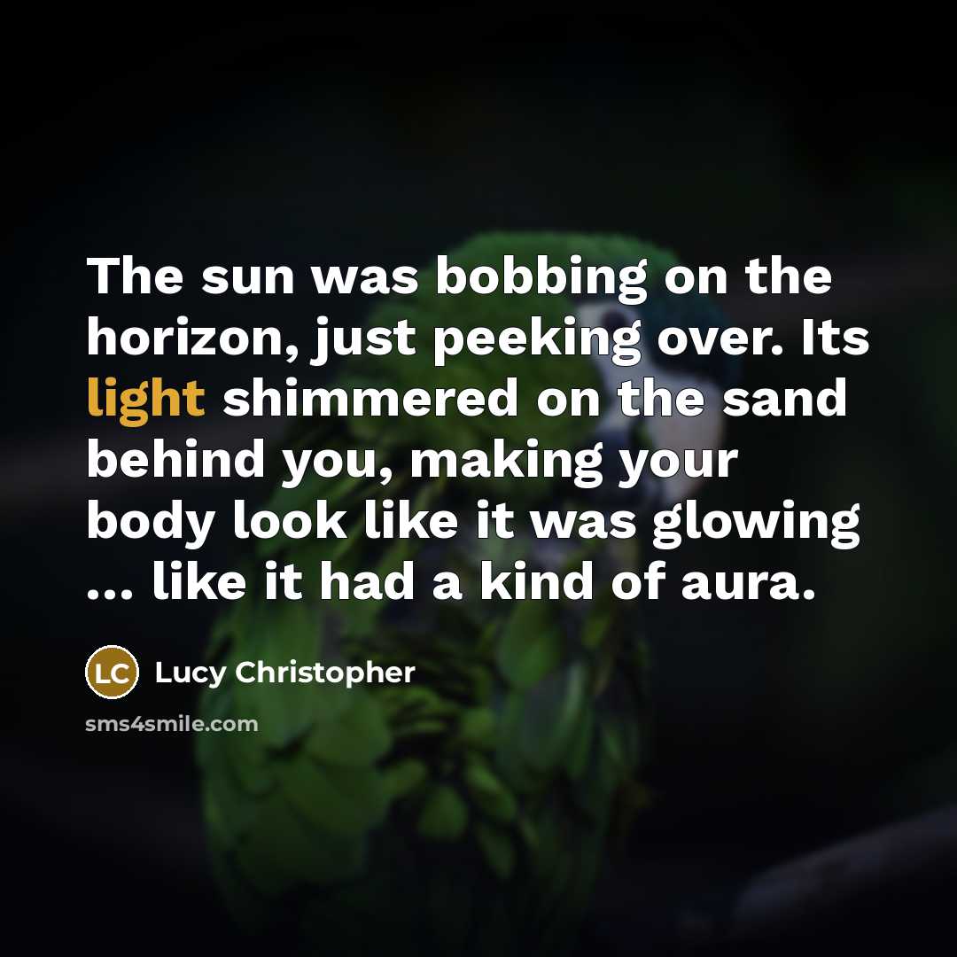 “The sun was bobbing on the horizon, just peeking over.…” quote by Lucy Christopher