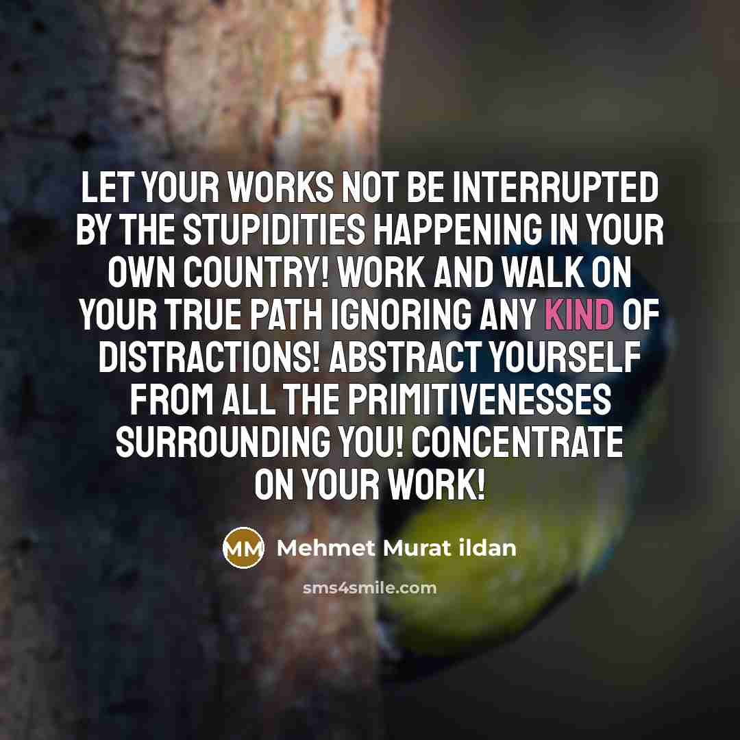 “Let your works not be interrupted by the stupidities happening…” quote by Mehmet Murat Ildan