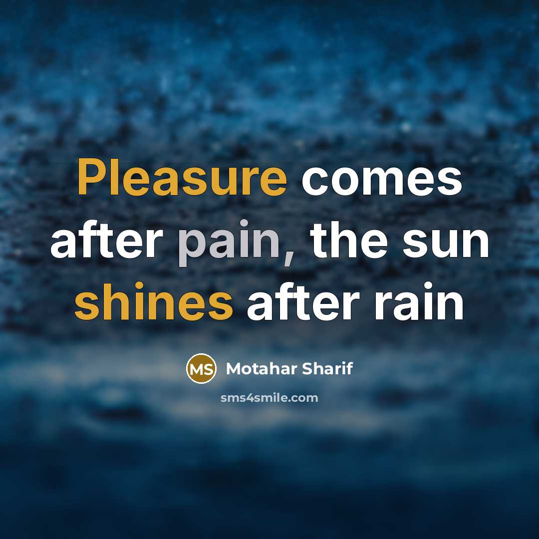 “Pleasure comes after pain, the sun shines after rain” quote by Motahar Sharif