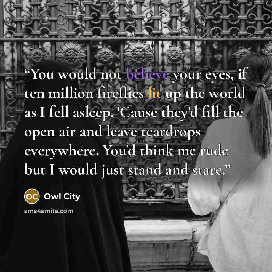 “You would not believe your eyes, if ten million fireflies lit up the world as I fell asleep. 'Cause they'd fill the open air and leave teardrops everywhere. You'd think me rude but I would just stand and stare.” quote by Owl City