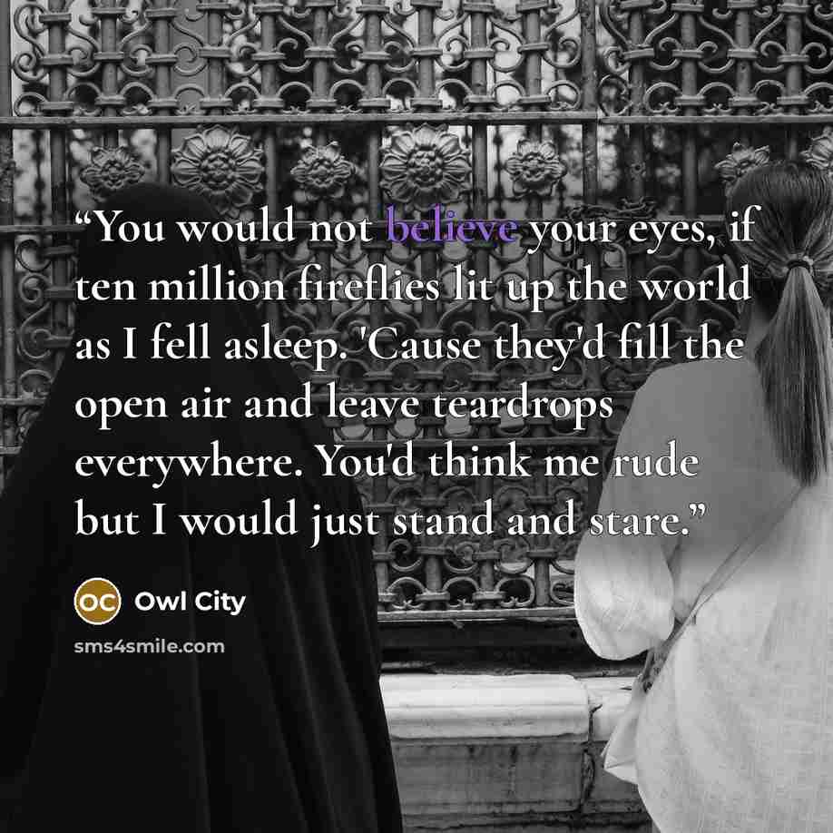 “You would not believe your eyes, if ten million fireflies lit up the world as I fell asleep. 'Cause they'd fill the open air and leave teardrops everywhere. You'd think me rude but I would just stand and stare.” quote by Owl City