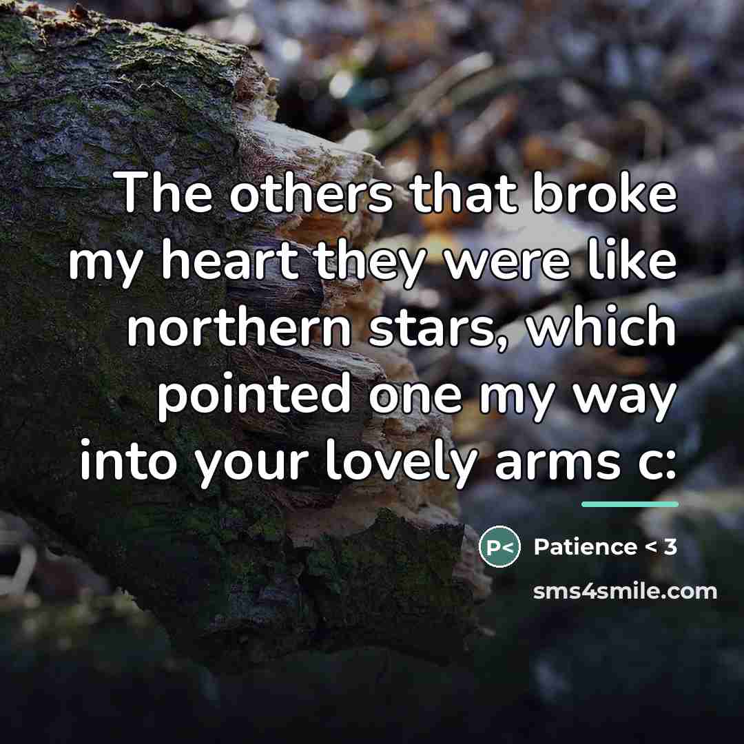 “The others that broke my heart they were like northern…” quote by Patience < 3
