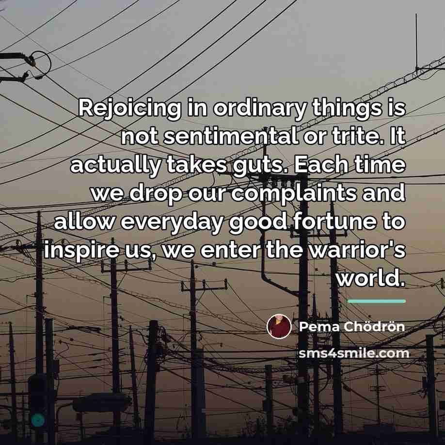 “Rejoicing in ordinary things is not sentimental or trite. It…” quote by Pema Chodron