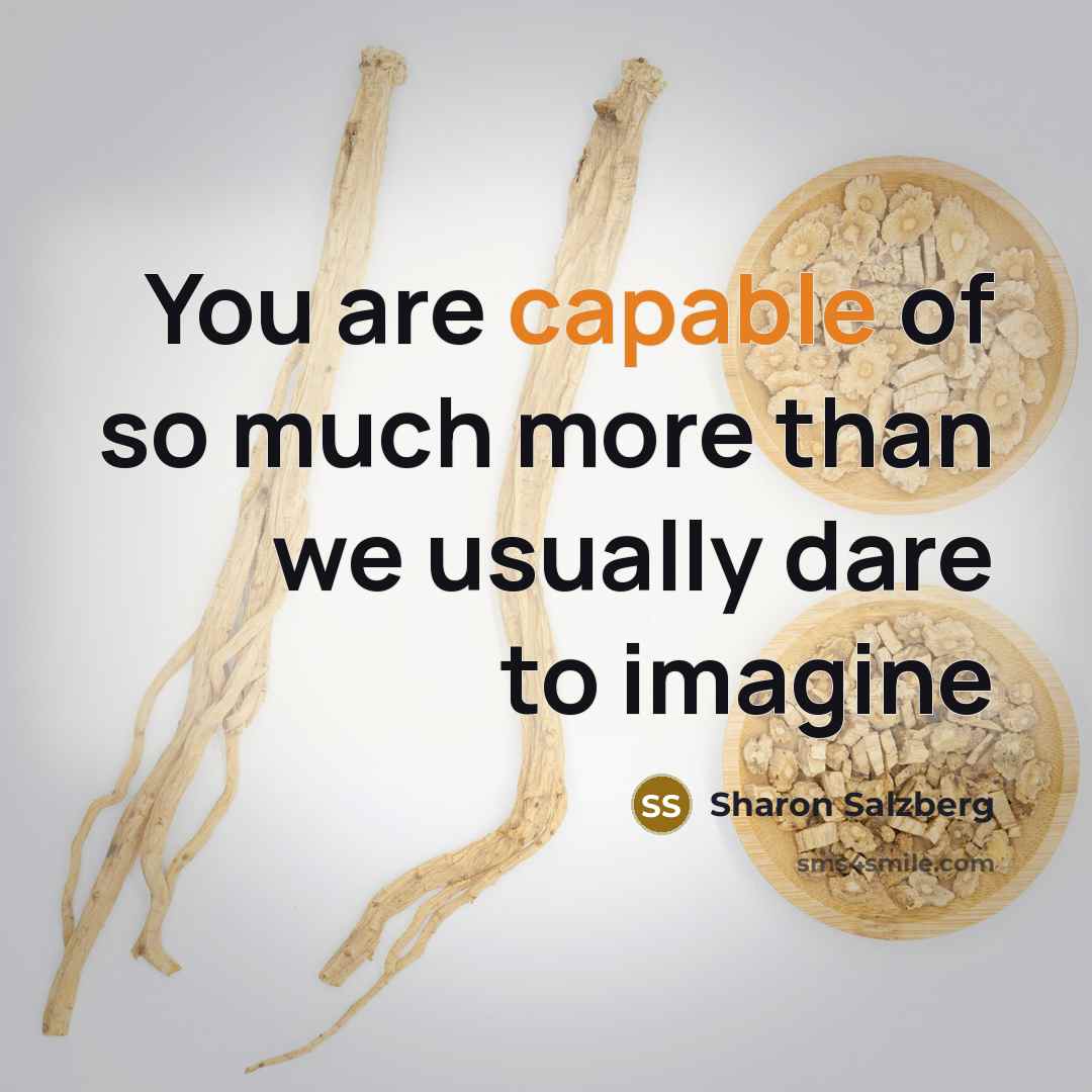 “You are capable of so much more than we usually…” quote by Sharon Salzberg