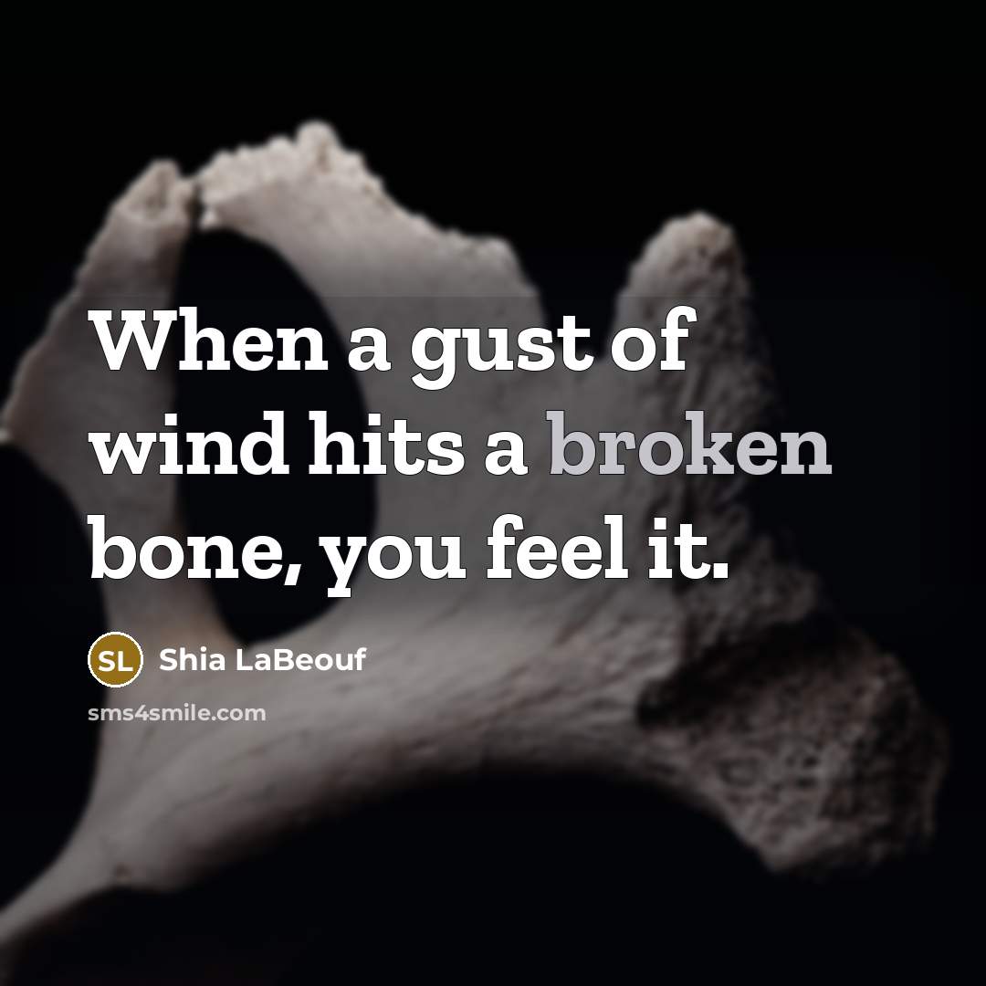 “When a gust of wind hits a broken bone, you…” quote by Shia LaBeouf