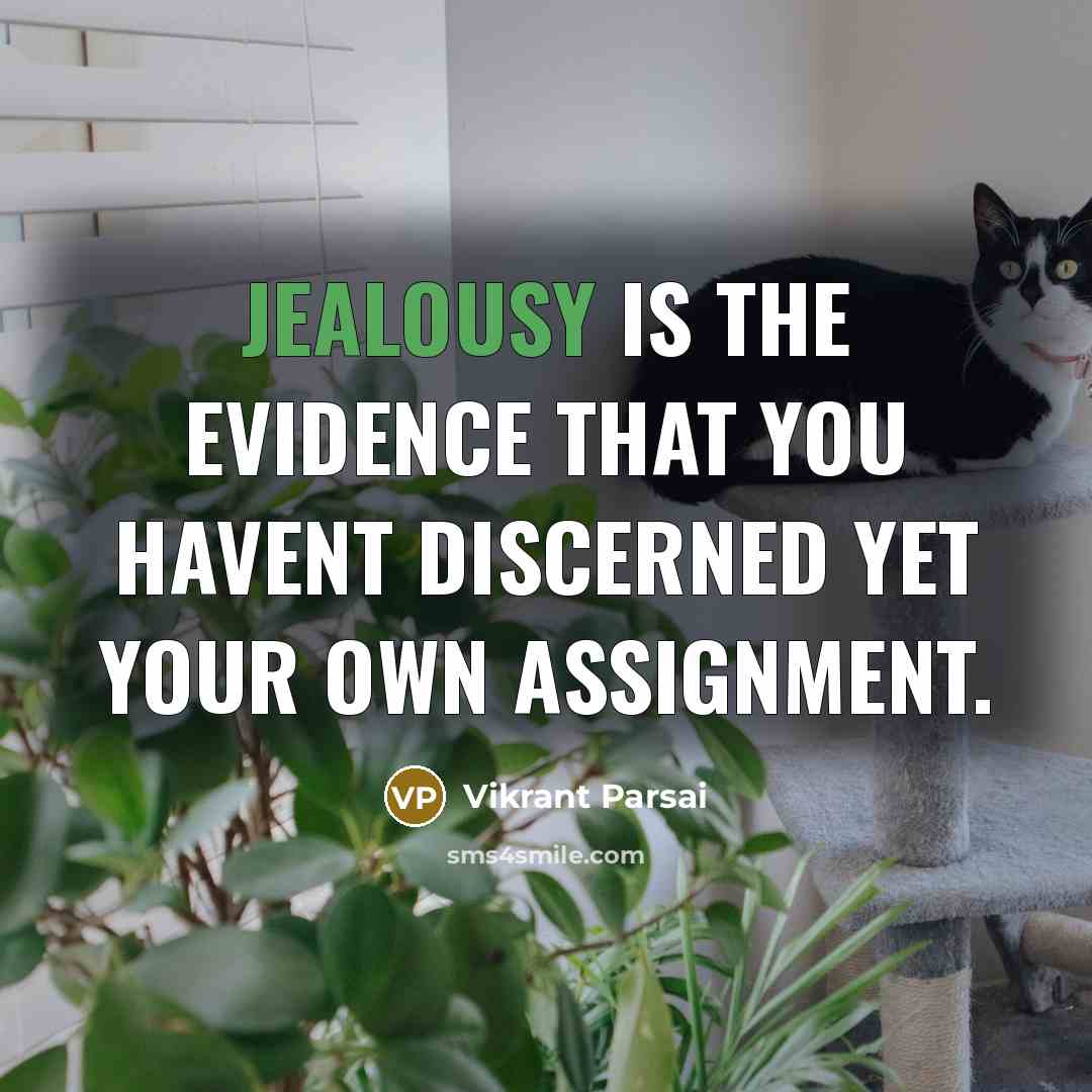 “Jealousy is the evidence that you havent discerned yet your…” quote by Vikrant Parsai