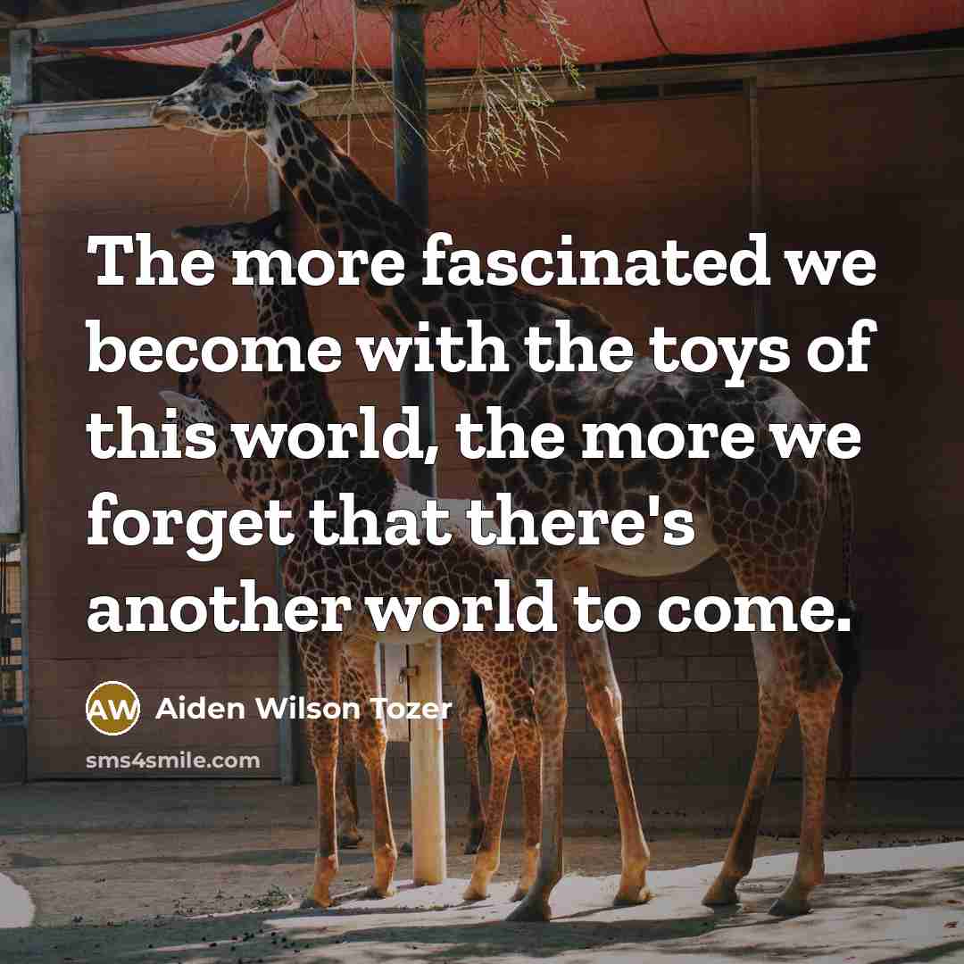 “The more fascinated we become with the toys of this…” quote by Aiden Wilson Tozer