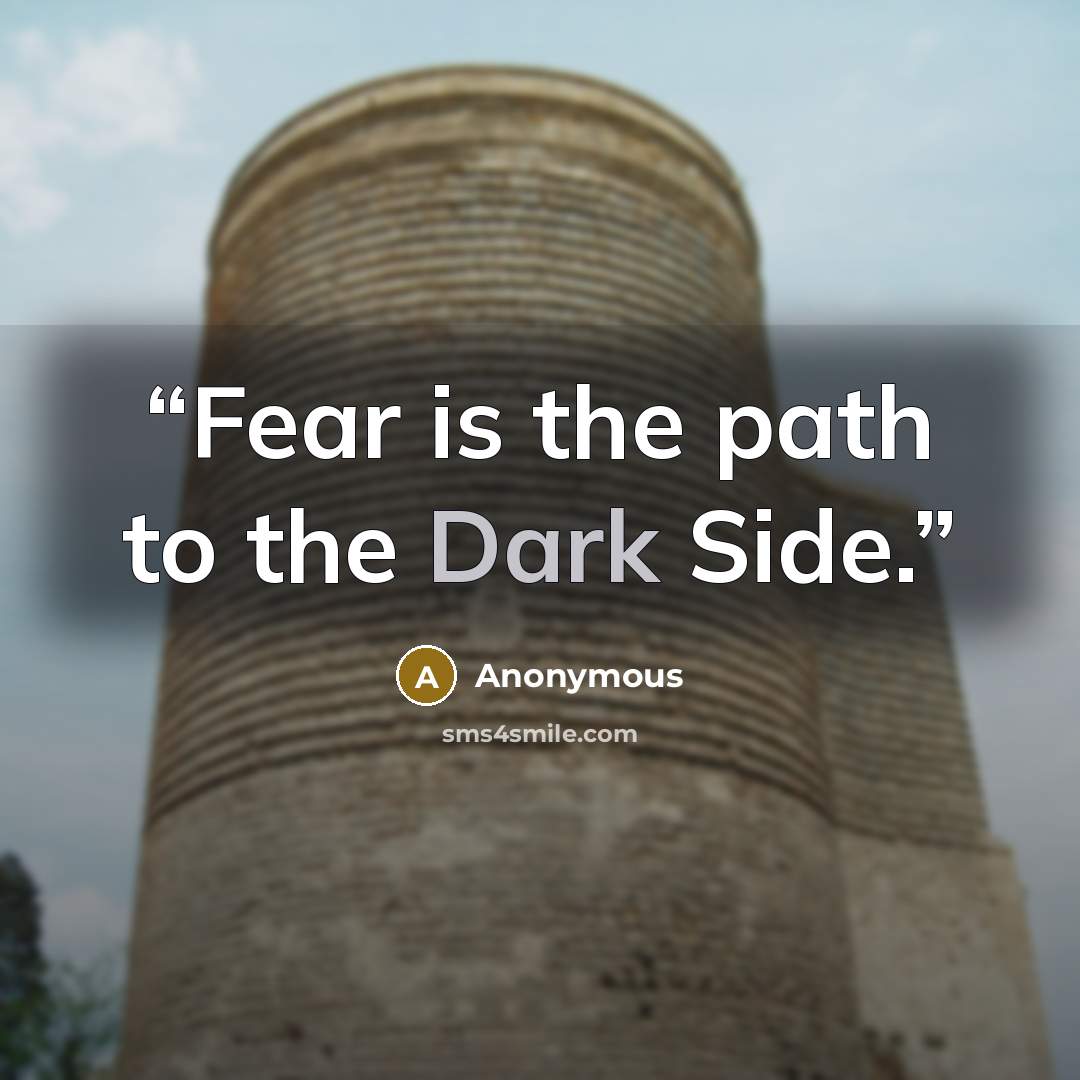 “Fear is the path to the Dark Side.” quote by Anonymous