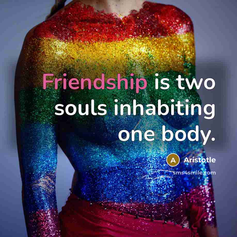 “Friendship is two souls inhabiting one body.…” quote by Aristotle
