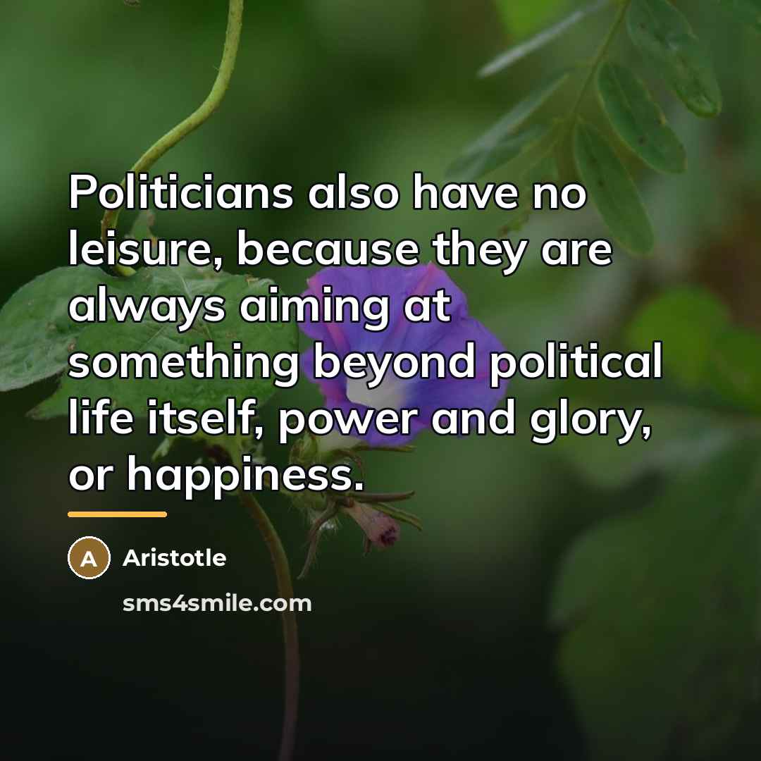 “Politicians also have no leisure, because they are always aiming…” quote by Aristotle