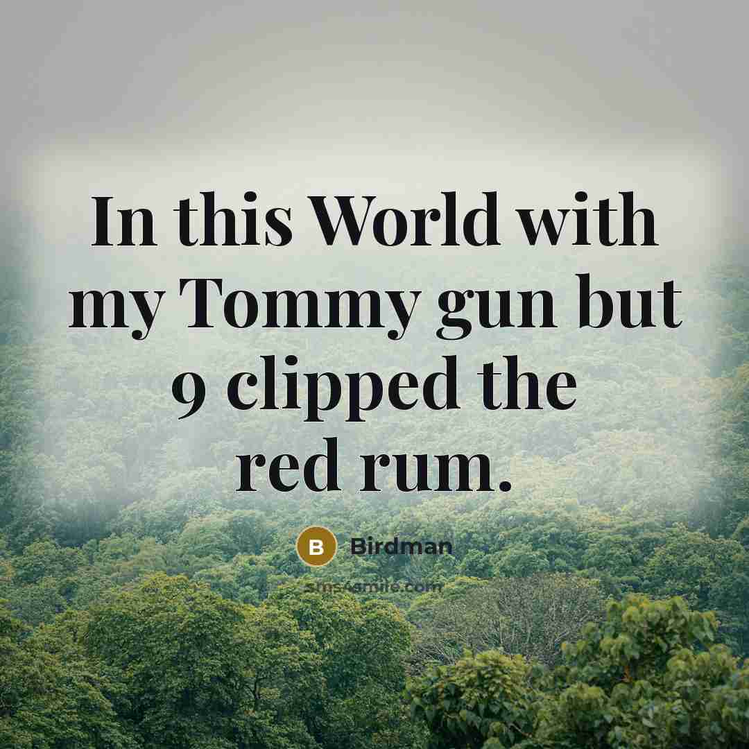 “In this World with my Tommy gun but 9 clipped the red rum.” quote by Birdman