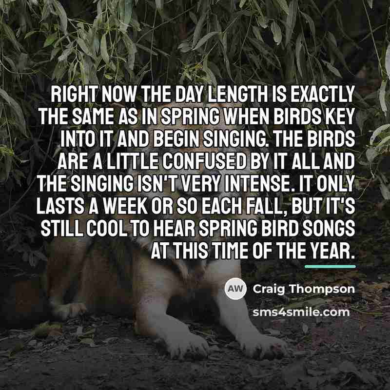 “Right now the day length is exactly the same as…” quote by Craig Thompson