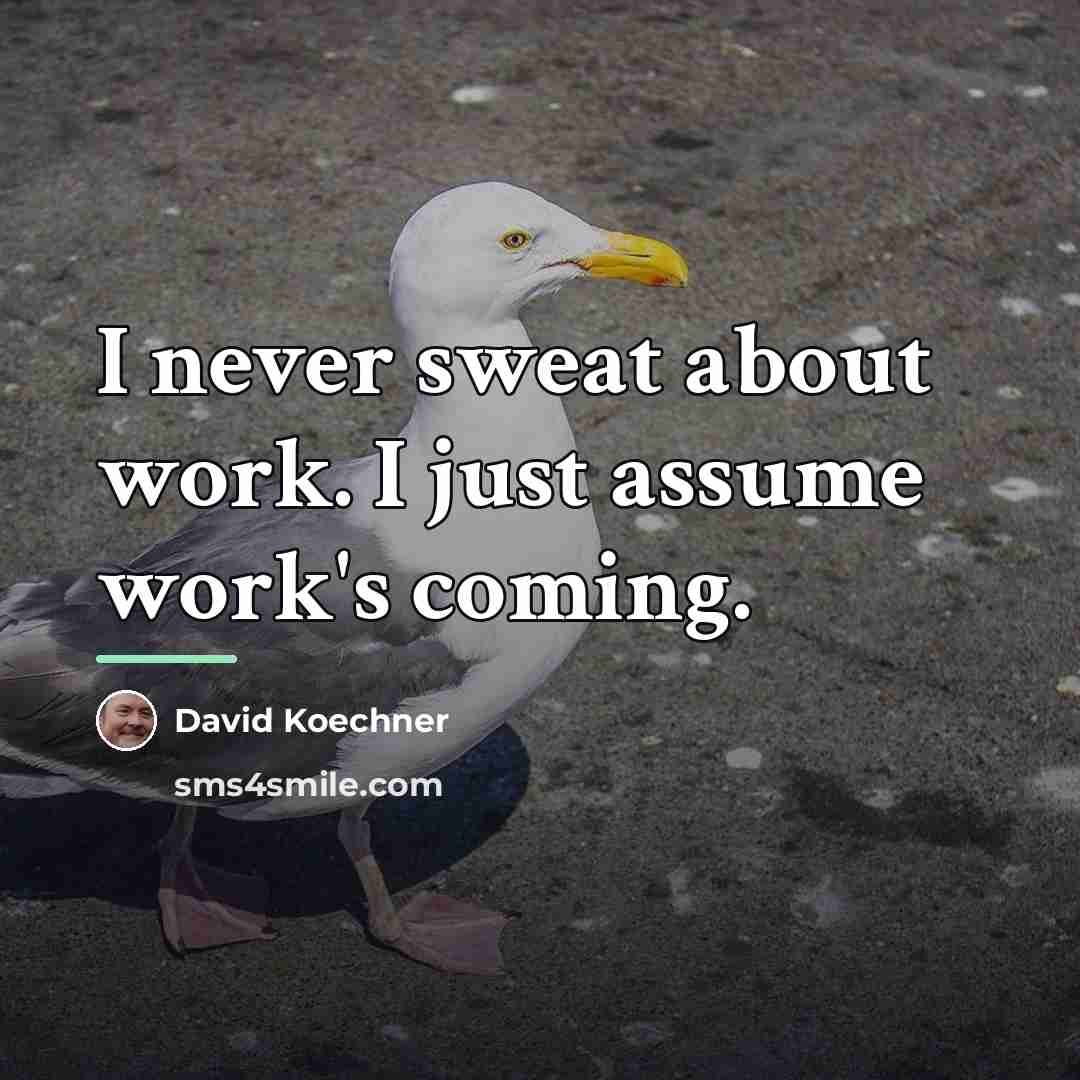“I never sweat about work. I just assume work's coming.…” quote by David Koechner