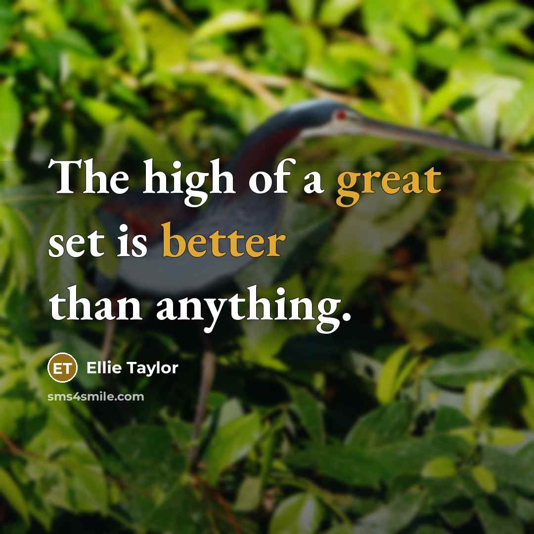 “The high of a great set is better than anything.…” quote by Ellie Taylor