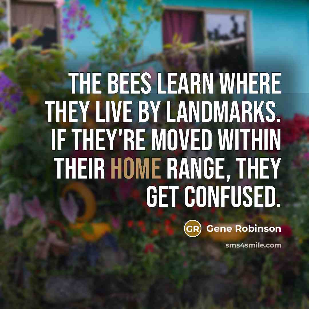 “The bees learn where they live by landmarks. If they're…” quote by Gene Robinson