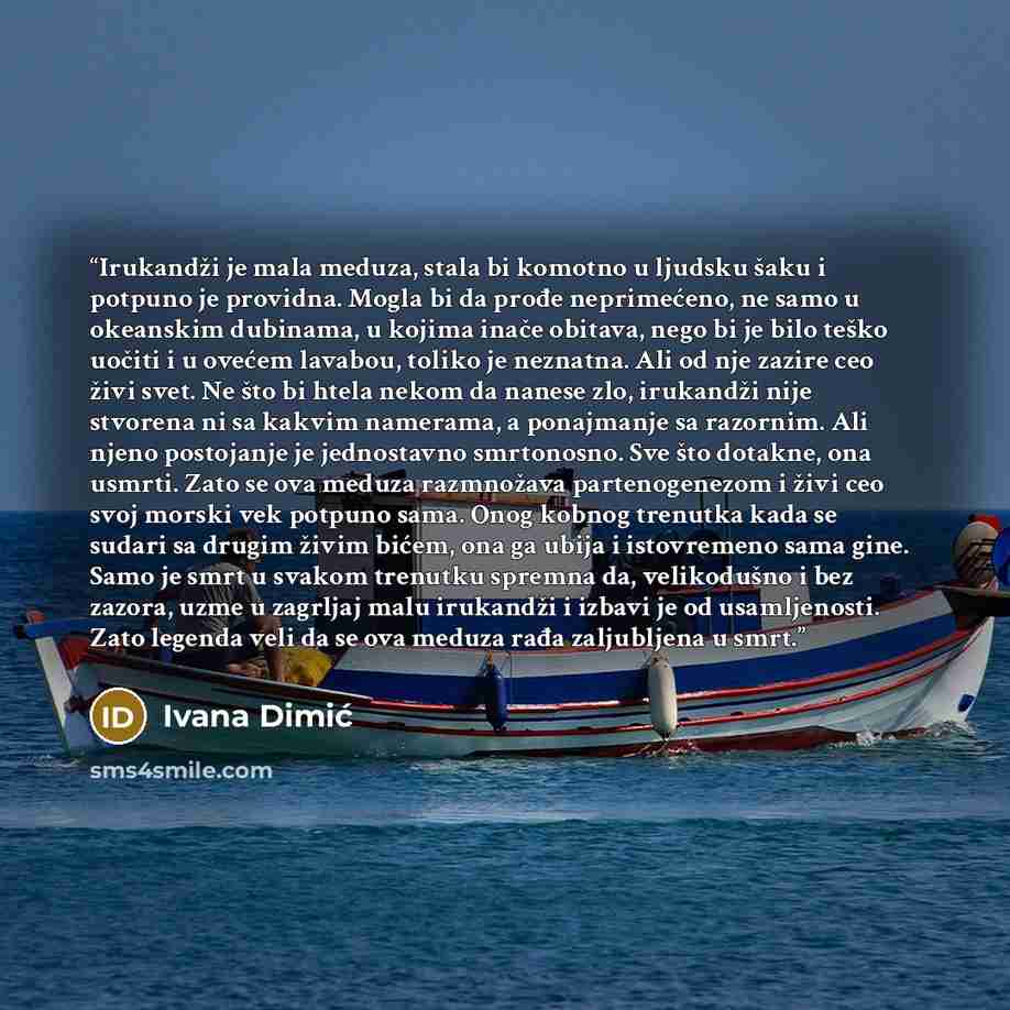 “Irukandži je mala meduza, stala bi komotno u ljudsku šaku i potpuno je providna. Mogla bi da prođe neprimećeno, ne samo u okeanskim dubinama, u kojima inače obitava, nego bi je bilo teško uočiti i u ovećem lavabou, toliko je neznatna. Ali od nje zazire ceo živi svet. Ne što bi htela nekom…” quote by Ivana Dimić