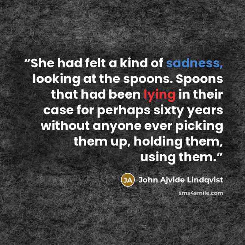 “She had felt a kind of sadness, looking at the spoons. Spoons that had been lying in their case for perhaps sixty years without anyone ever picking them up, holding them, using them.” quote by John Ajvide Lindqvist