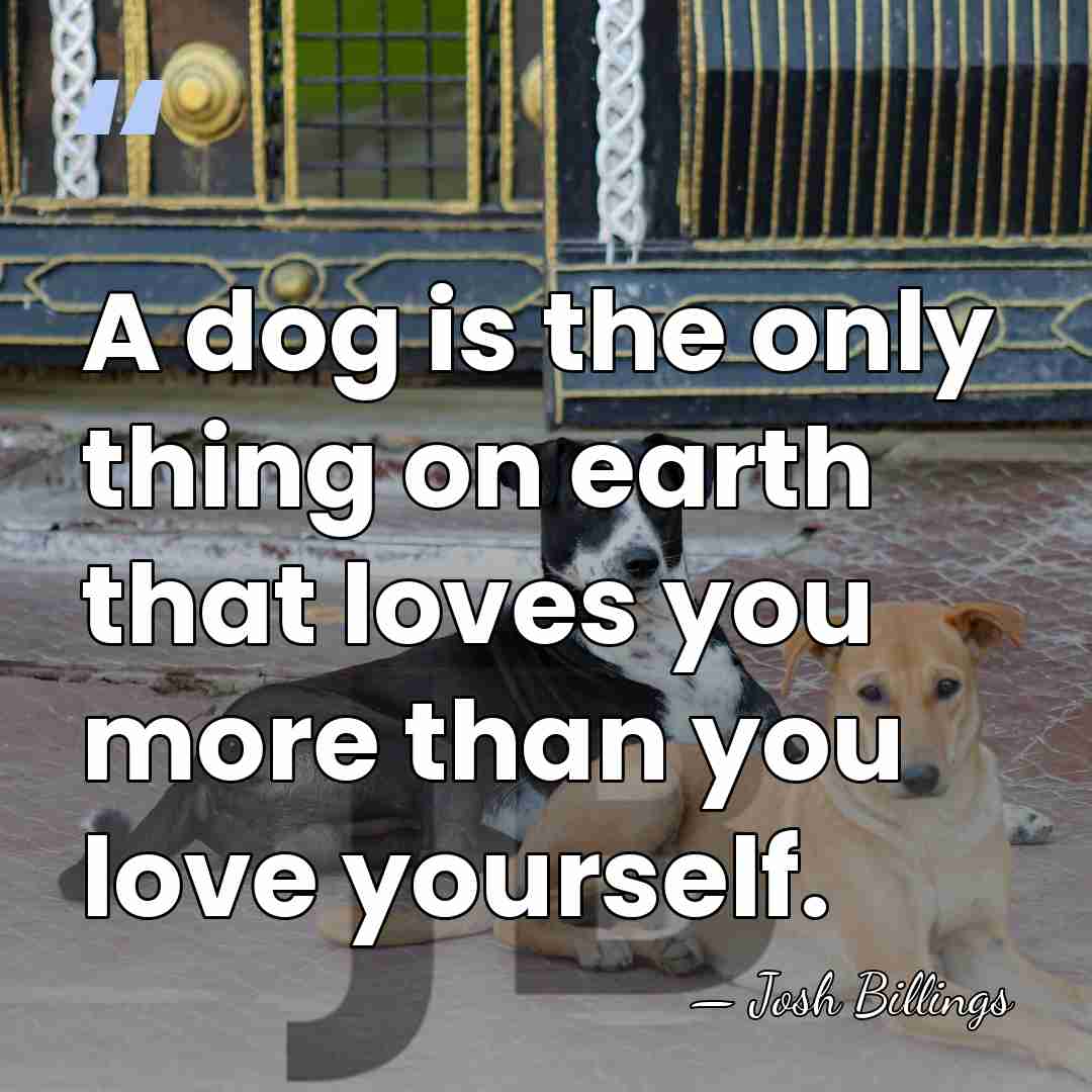 A dog is the only thing on earth that loves you more&hellip; - Josh Billings