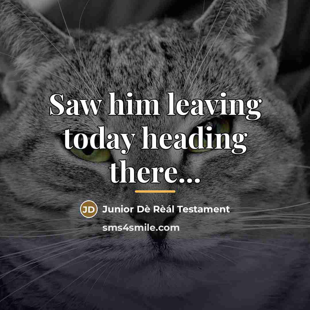 “Saw him leaving today heading there...…” quote by Junior Dè Rèál Testament