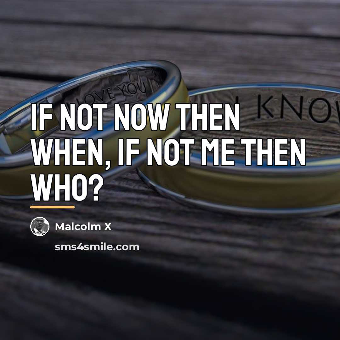 “If not now then when, if not me then who?…” quote by Malcolm X