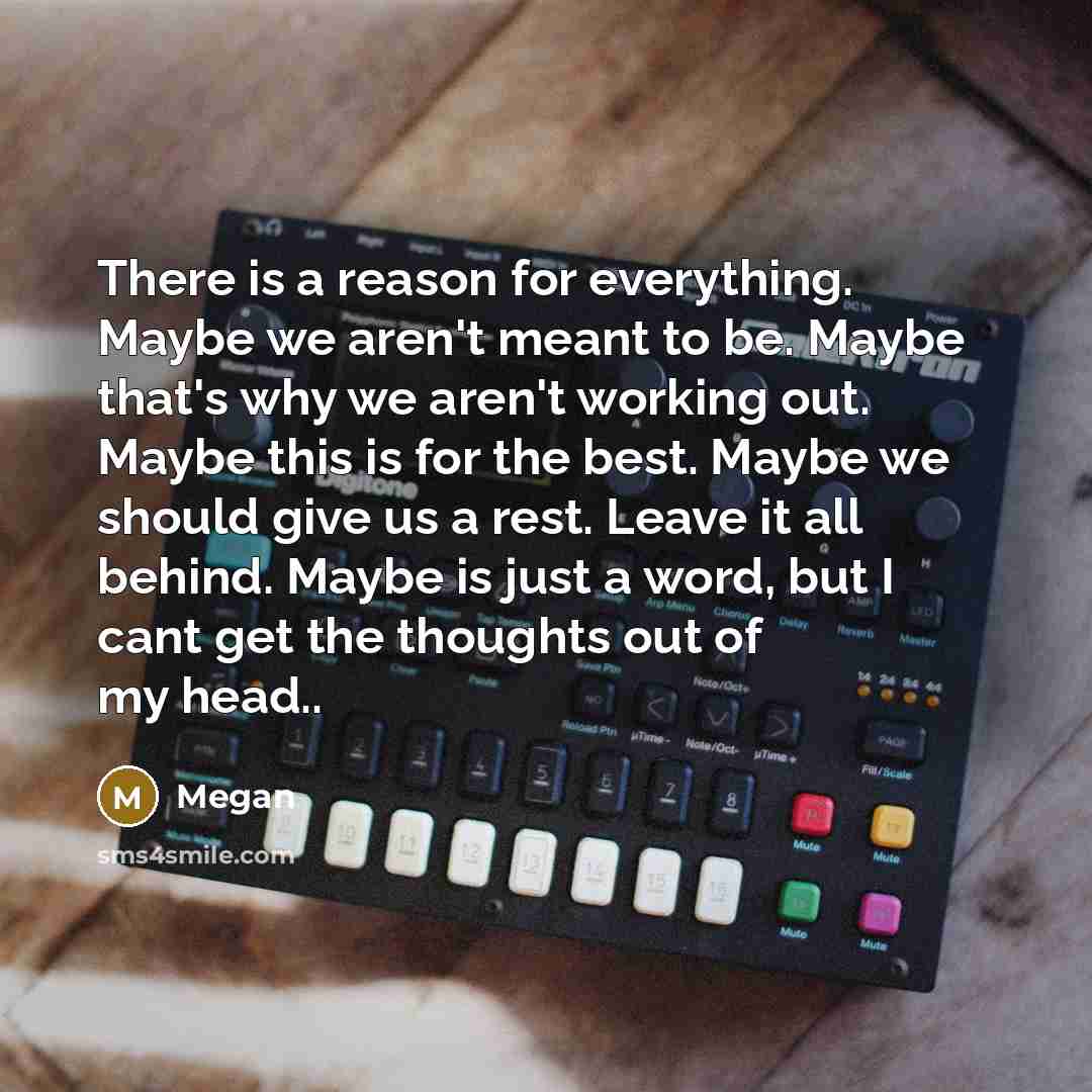 “There is a reason for everything. Maybe we aren't meant…” quote by Megan