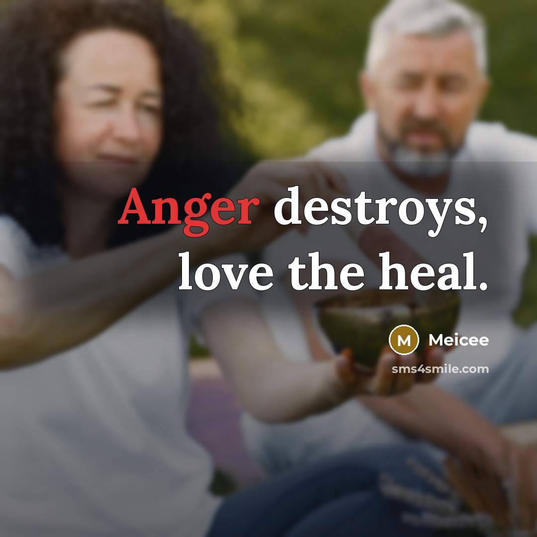 “Anger destroys, love the heal.…” quote by Meicee