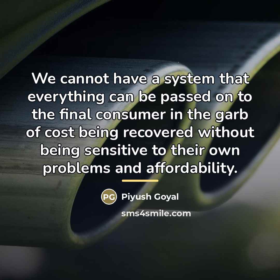 “We cannot have a system that everything can be passed…” quote by Piyush Goyal