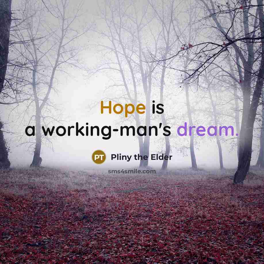 “Hope is a working-man's dream.…” quote by Pliny the Elder