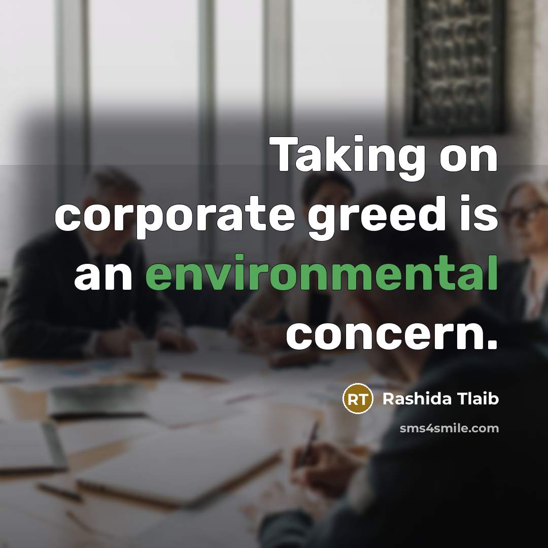 “Taking on corporate greed is an environmental concern.” quote by Rashida Tlaib