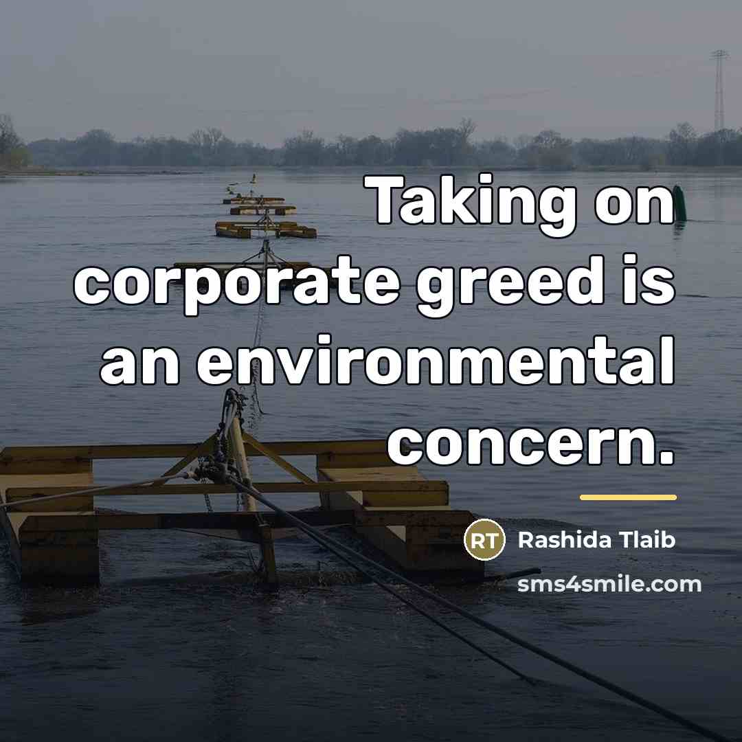 “Taking on corporate greed is an environmental concern.…” quote by Rashida Tlaib