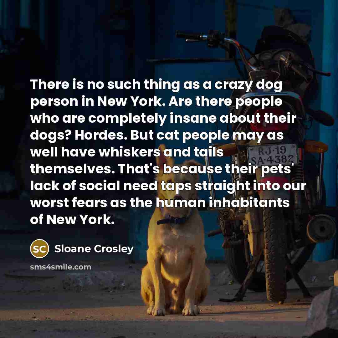 “There is no such thing as a crazy dog person…” quote by Sloane Crosley