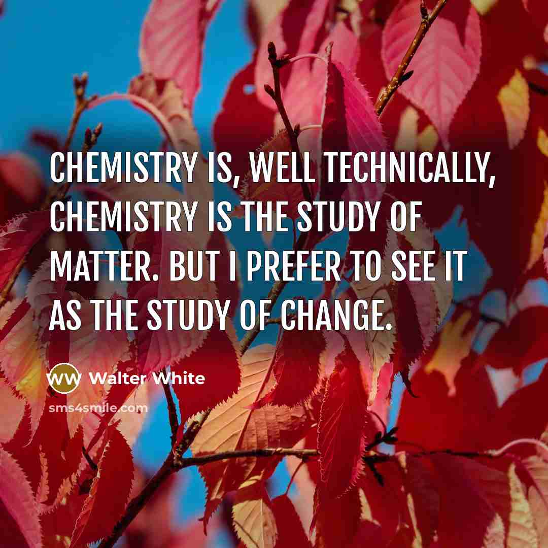 “Chemistry is, well technically, chemistry is the study of matter.…” quote by Walter White