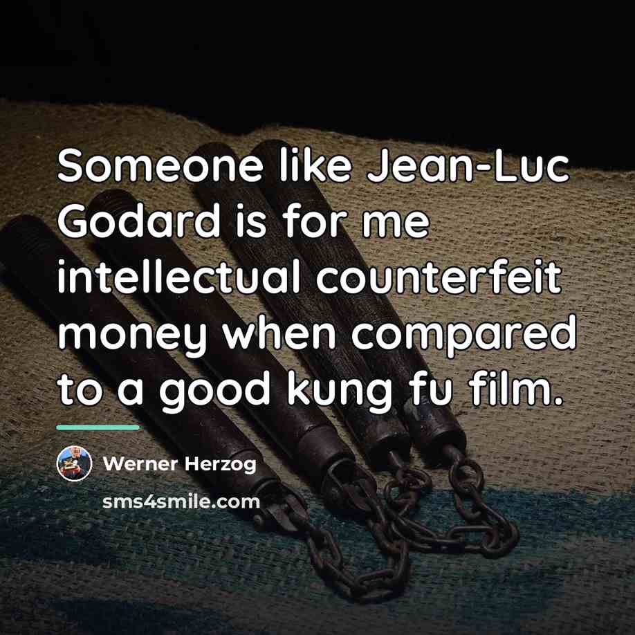 “Someone like Jean-Luc Godard is for me intellectual counterfeit money…” quote by Werner Herzog