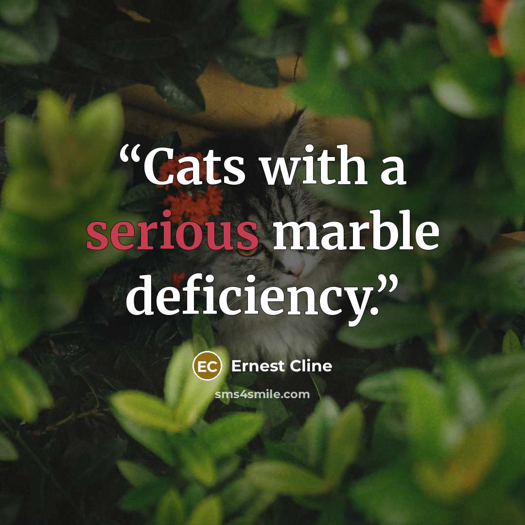 “Cats with a serious marble deficiency.” quote by Ernest Cline