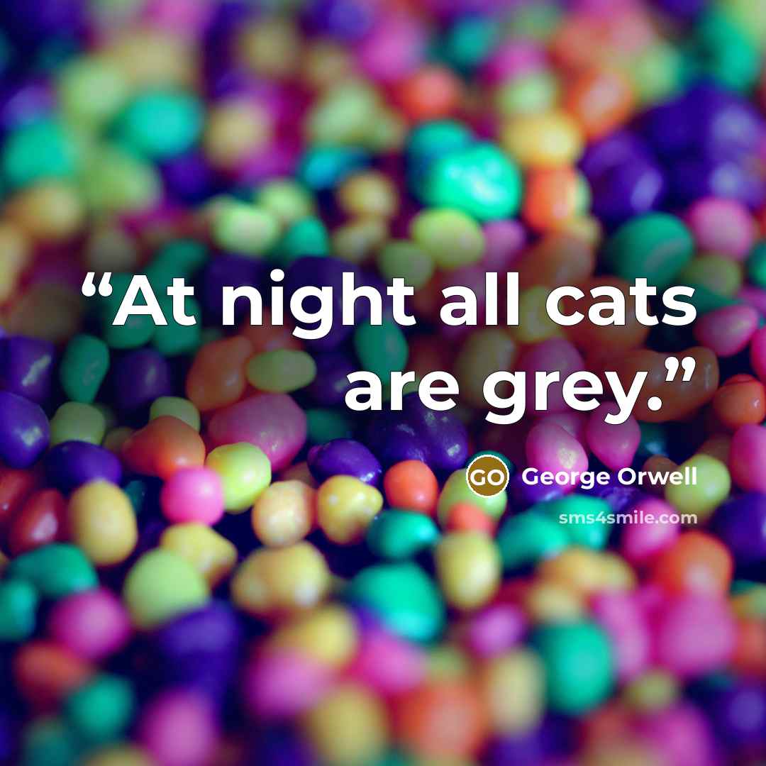 “At night all cats are grey.” quote by George Orwell