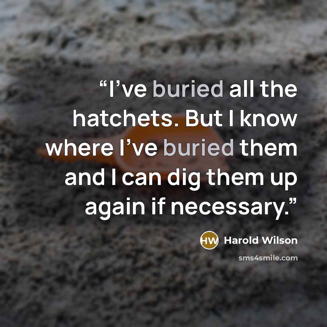 “I've buried all the hatchets. But I know where I've buried them and I can dig them up again if necessary.” quote by Harold Wilson