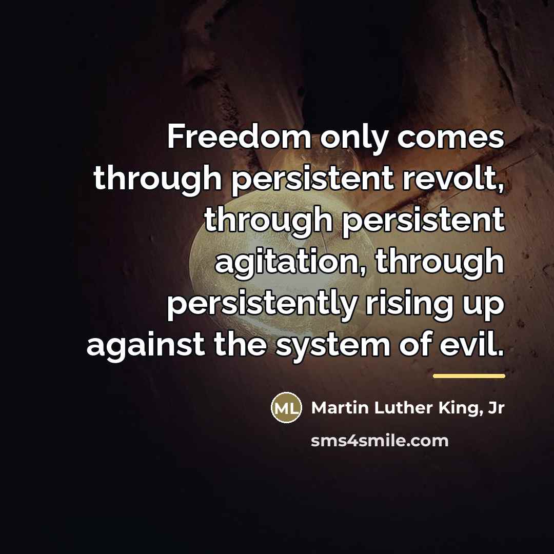 “Freedom only comes through persistent revolt, through persistent agitation, through…” quote by Martin Luther King, Jr