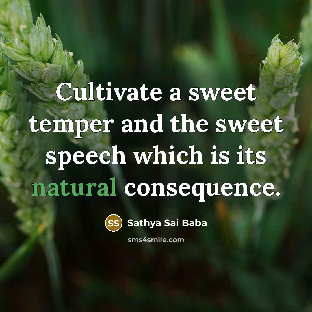 “Cultivate a sweet temper and the sweet speech which is…” quote by Sathya Sai Baba