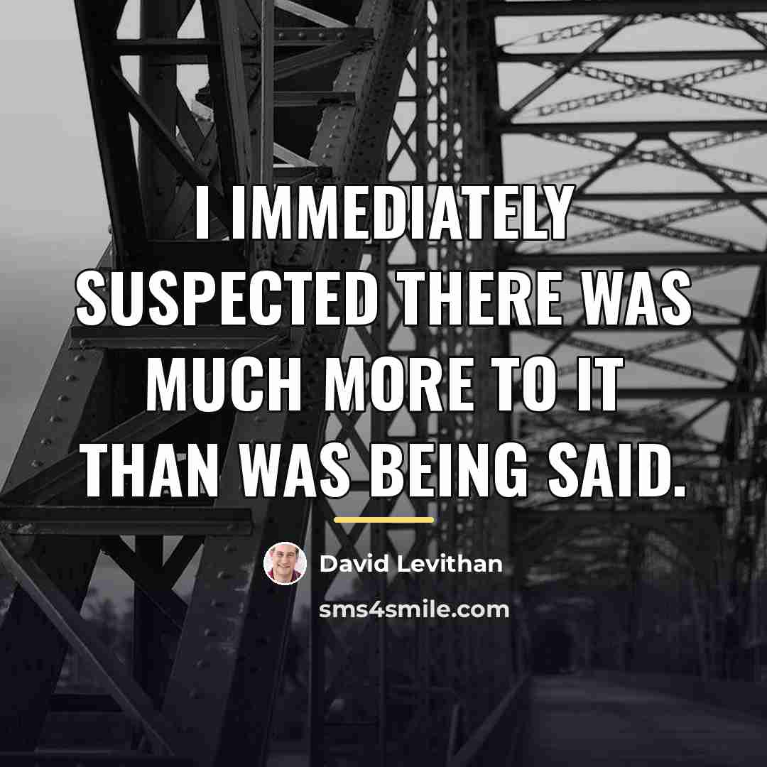 “I immediately suspected there was much more to it than…” quote by David Levithan