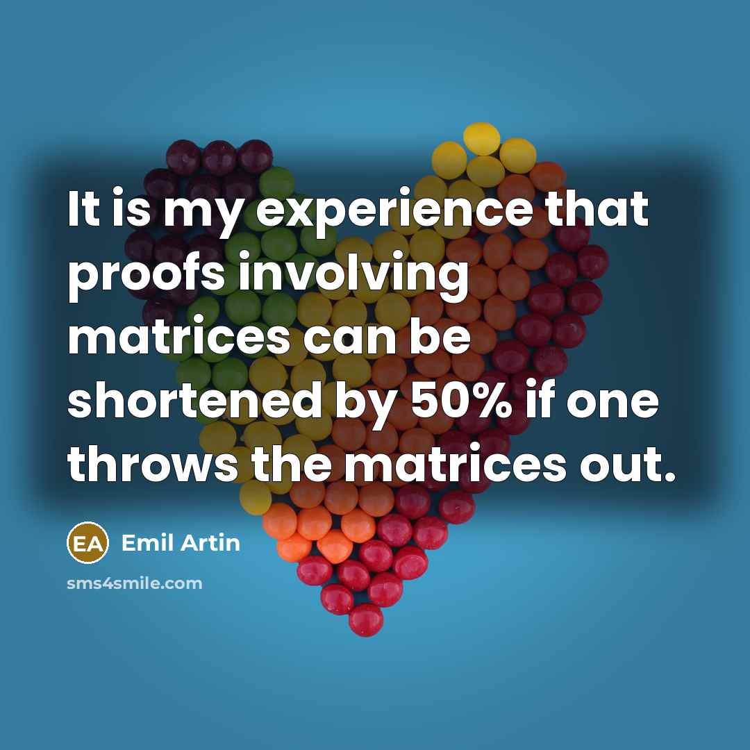 “It is my experience that proofs involving matrices can be…” quote by Emil Artin