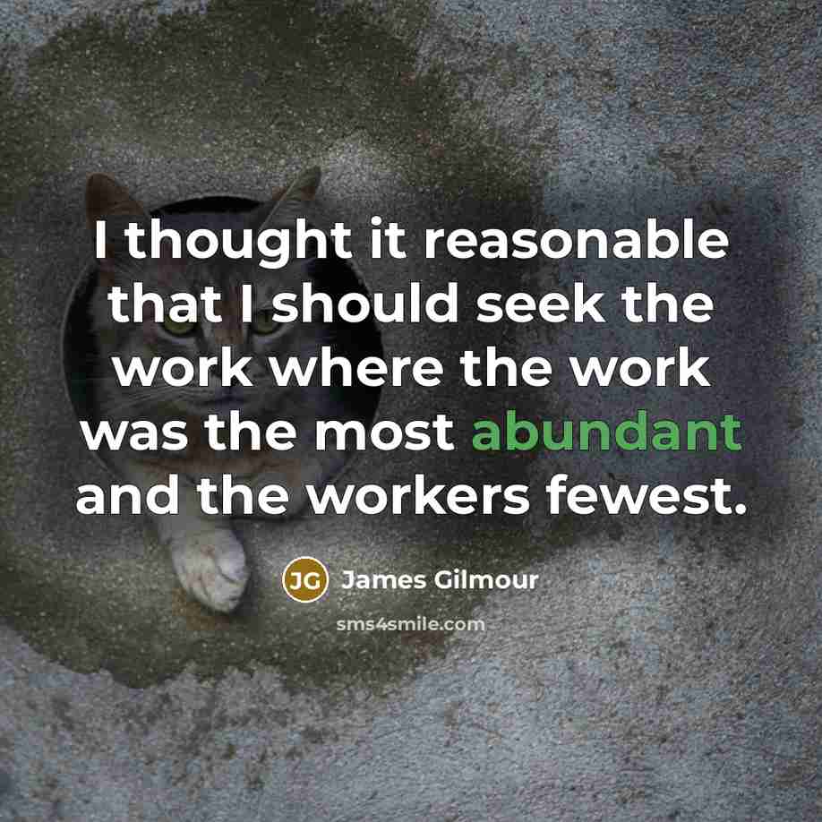 “I thought it reasonable that I should seek the work…” quote by James Gilmour