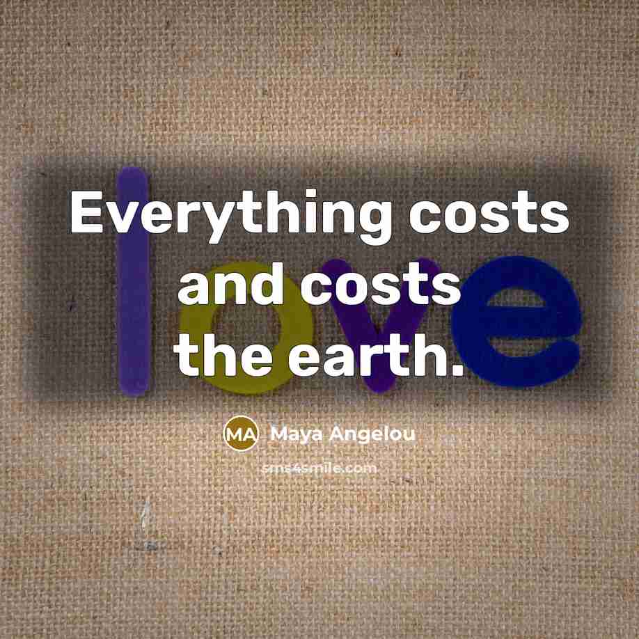 “Everything costs and costs the earth.…” quote by Maya Angelou